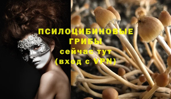 каннабис Бронницы