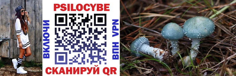 Псилоцибиновые грибы MAGIC MUSHROOMS  купить наркоту  Томмот 